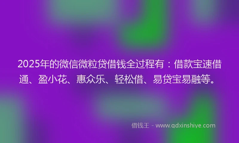 2025年的微信微粒贷借钱全过程有：借款宝速借通、盈小花、惠众乐、轻松借、易贷宝易融等。