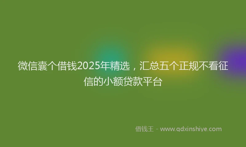 微信囊个借钱2025年精选，汇总五个正规不看征信的小额贷款平台