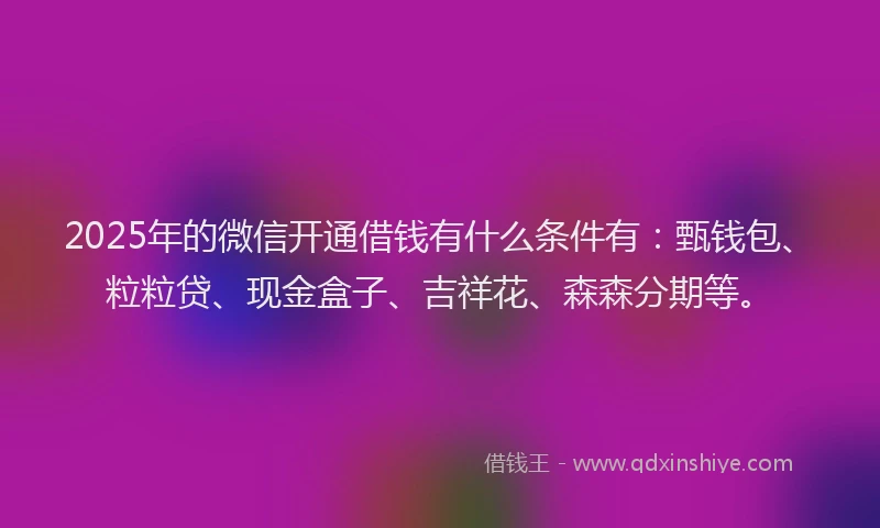 2025年的微信开通借钱有什么条件有：甄钱包、粒粒贷、现金盒子、吉祥花、森森分期等。