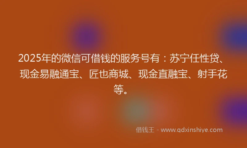2025年的微信可借钱的服务号有：苏宁任性贷、现金易融通宝、匠也商城、现金直融宝、射手花等。