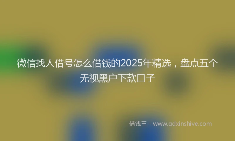 微信找人借号怎么借钱的2025年精选，盘点五个无视黑户下款口子