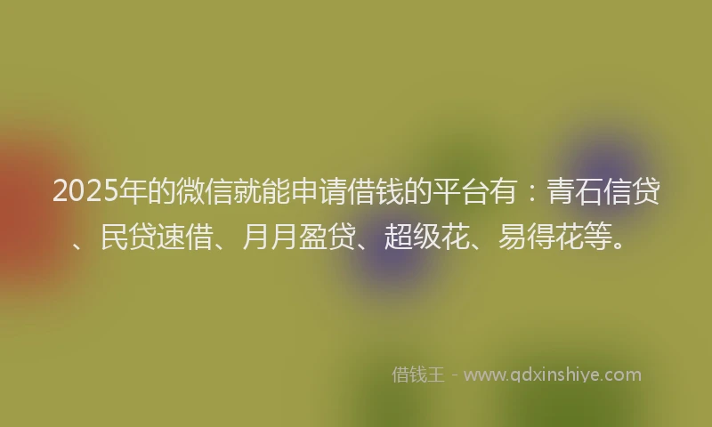 2025年的微信就能申请借钱的平台有：青石信贷、民贷速借、月月盈贷、超级花、易得花等。