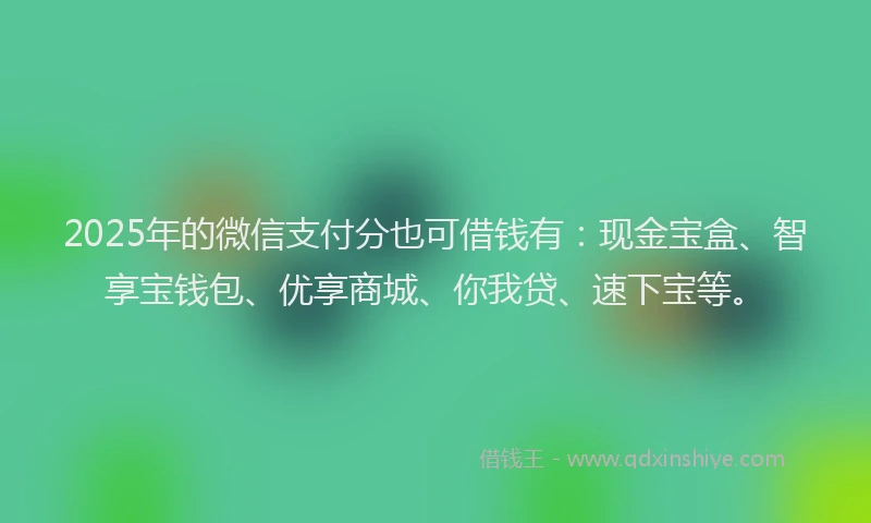 2025年的微信支付分也可借钱有：现金宝盒、智享宝钱包、优享商城、你我贷、速下宝等。