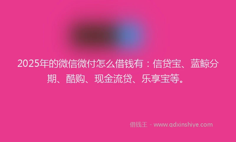 2025年的微信微付怎么借钱有：信贷宝、蓝鲸分期、酷购、现金流贷、乐享宝等。
