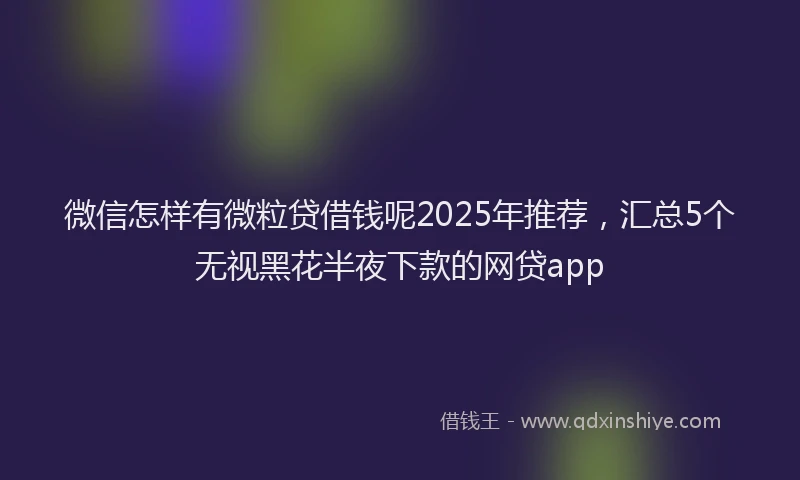 微信怎样有微粒贷借钱呢2025年推荐，汇总5个无视黑花半夜下款的网贷app