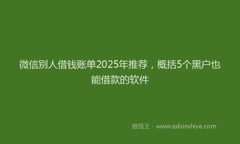 微信别人借钱账单2025年推荐，概括5个黑户也能借款的软件