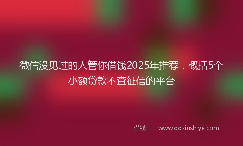 微信没见过的人管你借钱2025年推荐，概括5个小额贷款不查征信的平台