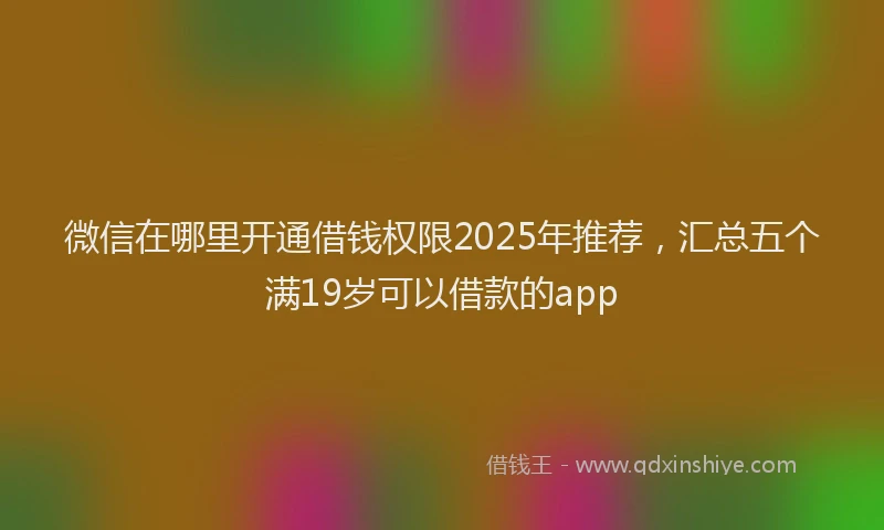 微信在哪里开通借钱权限2025年推荐，汇总五个满19岁可以借款的app