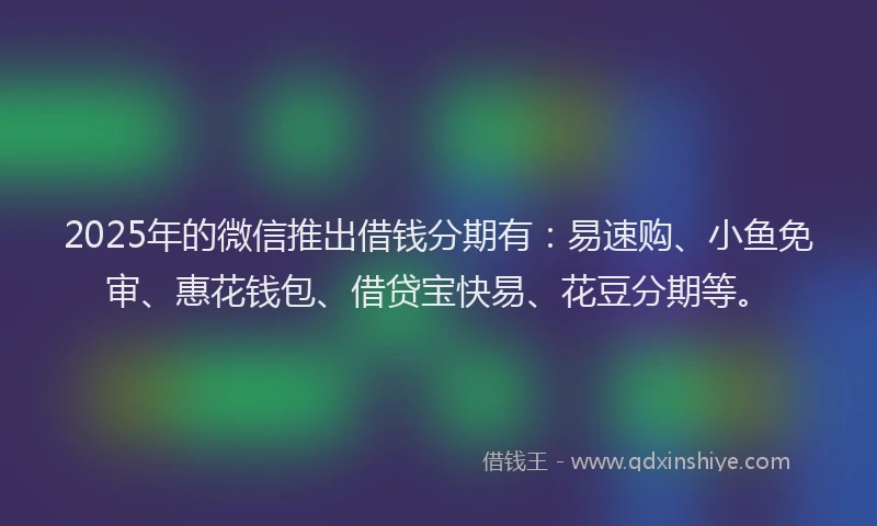 2025年的微信推出借钱分期有：易速购、小鱼免审、惠花钱包、借贷宝快易、花豆分期等。