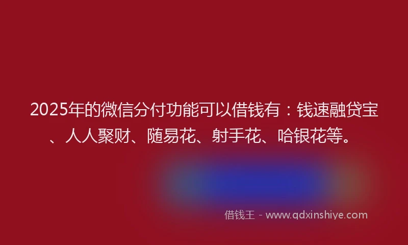 2025年的微信分付功能可以借钱有：钱速融贷宝、人人聚财、随易花、射手花、哈银花等。