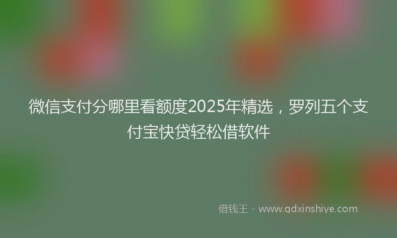 微信支付分哪里看额度2025年精选，罗列五个支付宝快贷轻松借软件