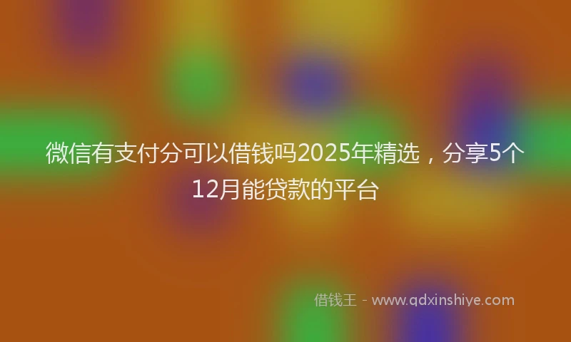 微信有支付分可以借钱吗2025年精选，分享5个12月能贷款的平台