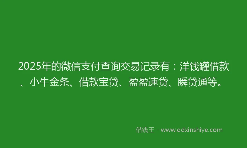 2025年的微信支付查询交易记录有：洋钱罐借款、小牛金条、借款宝贷、盈盈速贷、瞬贷通等。