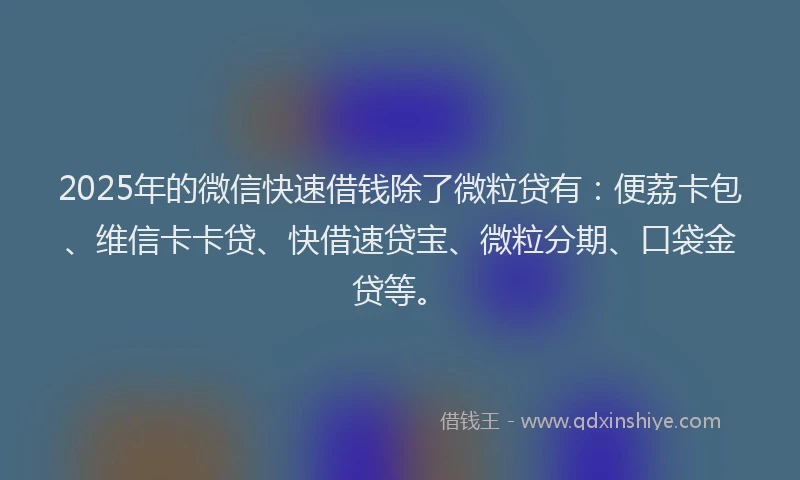 2025年的微信快速借钱除了微粒贷有：便荔卡包、维信卡卡贷、快借速贷宝、微粒分期、口袋金贷等。