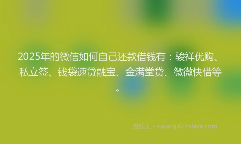 2025年的微信如何自己还款借钱有：骏祥优购、私立签、钱袋速贷融宝、金满堂贷、微微快借等。