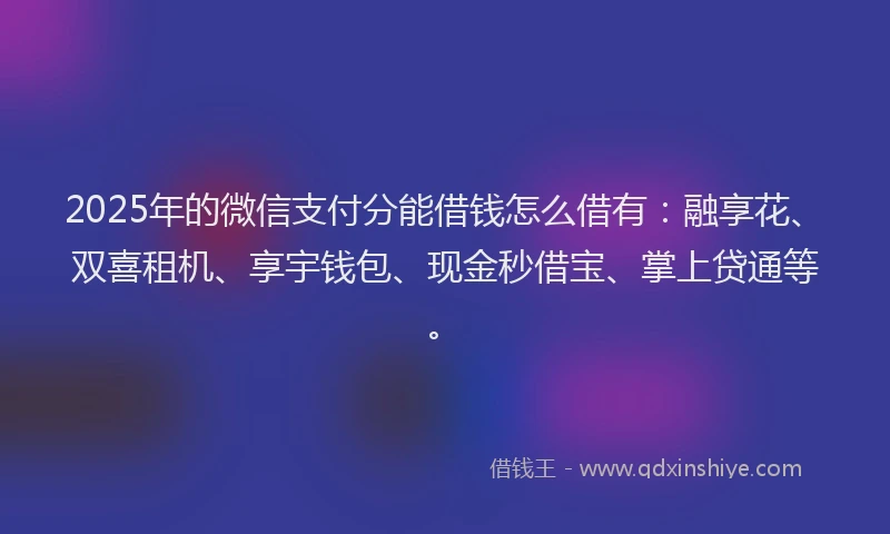 2025年的微信支付分能借钱怎么借有：融享花、双喜租机、享宇钱包、现金秒借宝、掌上贷通等。
