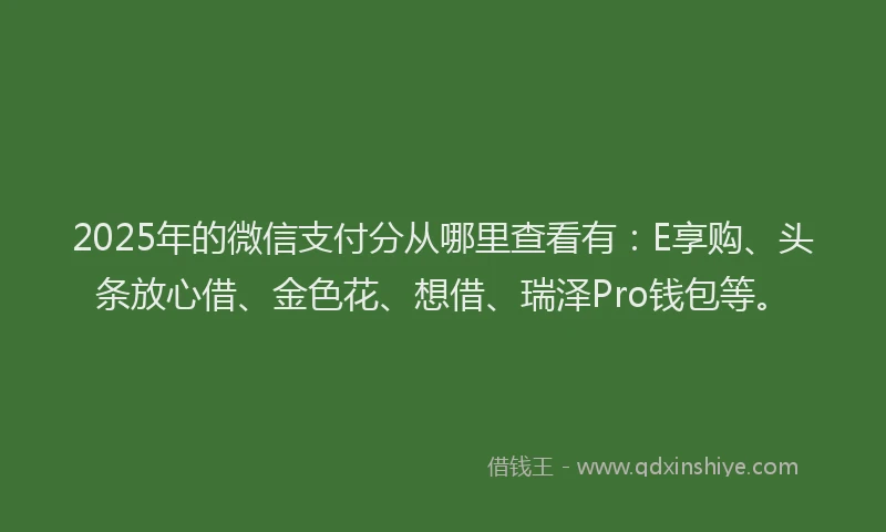 2025年的微信支付分从哪里查看有：E享购、头条放心借、金色花、想借、瑞泽Pro钱包等。