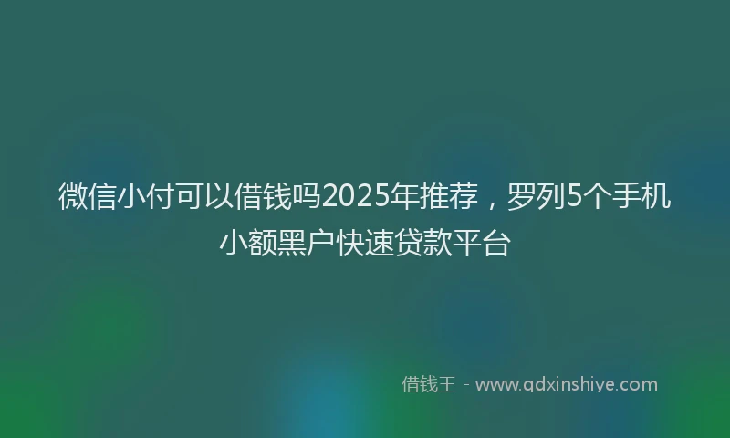 微信小付可以借钱吗2025年推荐，罗列5个手机小额黑户快速贷款平台