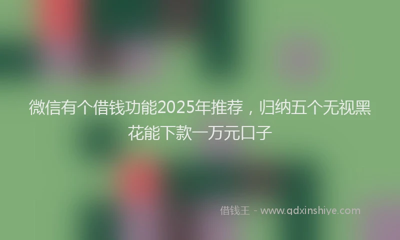 微信有个借钱功能2025年推荐，归纳五个无视黑花能下款一万元口子