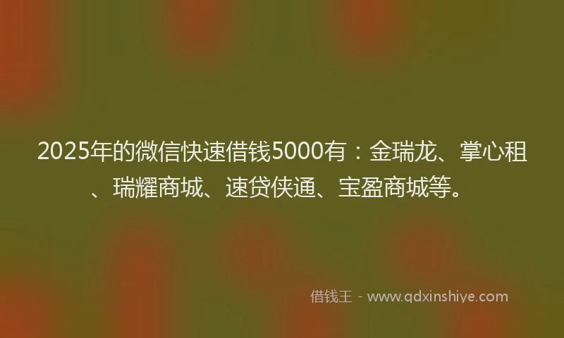 2025年的微信快速借钱5000有：金瑞龙、掌心租、瑞耀商城、速贷侠通、宝盈商城等。