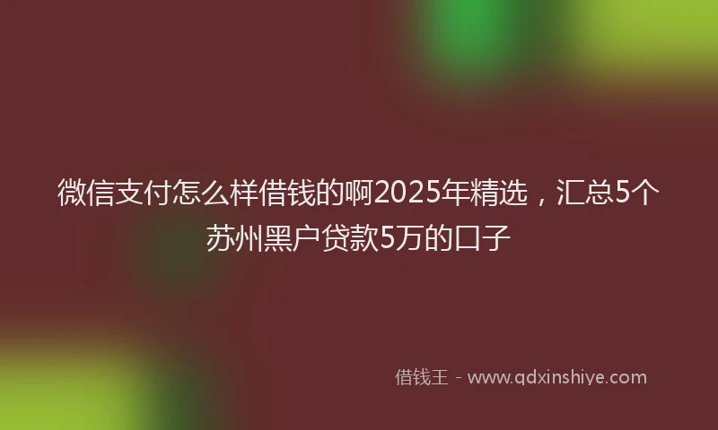 微信支付怎么样借钱的啊2025年精选，汇总5个苏州黑户贷款5万的口子