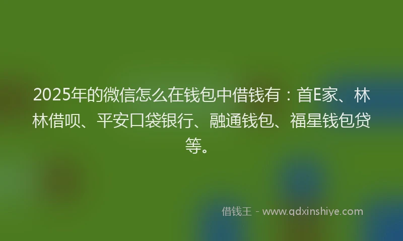 2025年的微信怎么在钱包中借钱有：首E家、林林借呗、平安口袋银行、融通钱包、福星钱包贷等。