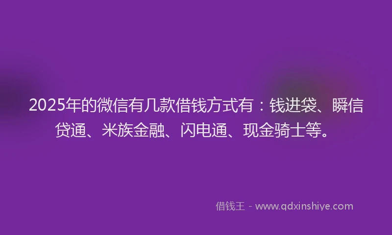 2025年的微信有几款借钱方式有：钱进袋、瞬信贷通、米族金融、闪电通、现金骑士等。