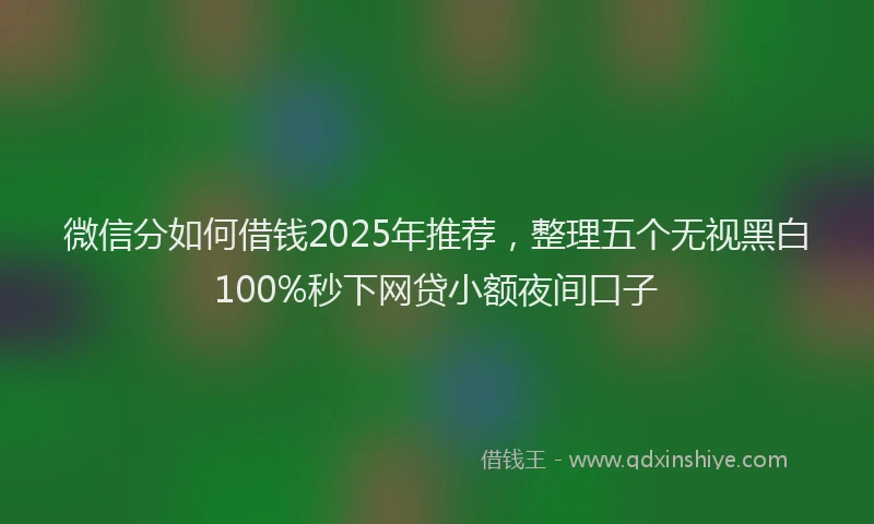 微信分如何借钱2025年推荐，整理五个无视黑白100%秒下网贷小额夜间口子