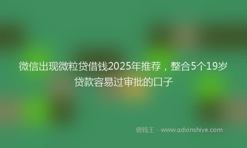 微信出现微粒贷借钱2025年推荐，整合5个19岁贷款容易过审批的口子