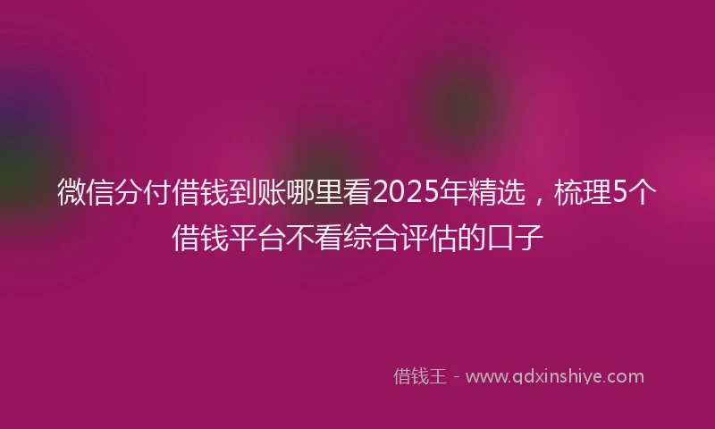 微信分付借钱到账哪里看2025年精选，梳理5个借钱平台不看综合评估的口子