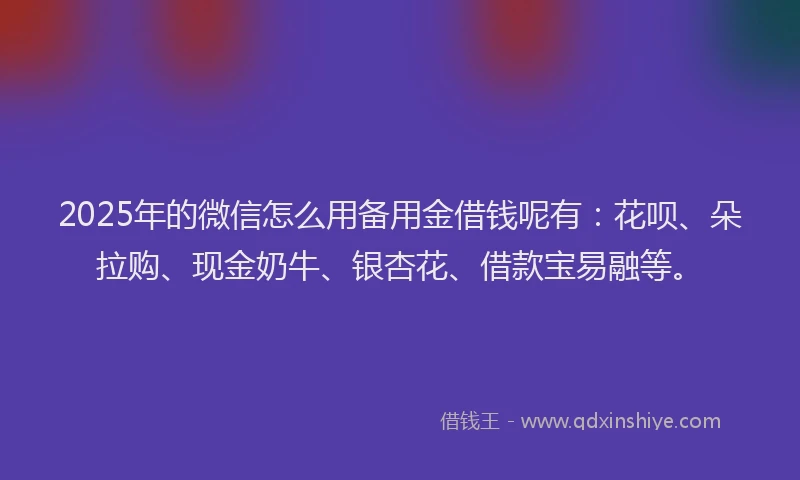2025年的微信怎么用备用金借钱呢有：花呗、朵拉购、现金奶牛、银杏花、借款宝易融等。