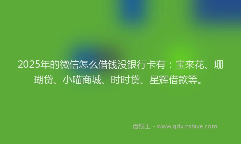 2025年的微信怎么借钱没银行卡有：宝来花、珊瑚贷、小喵商城、时时贷、星辉借款等。