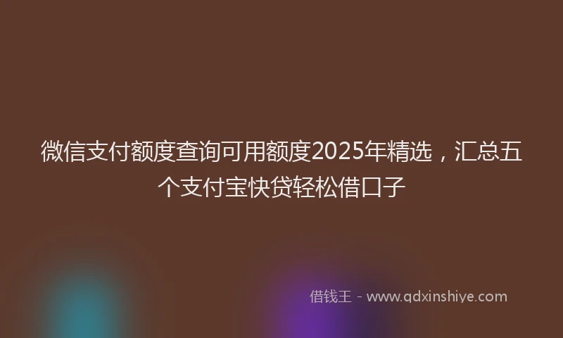 微信支付额度查询可用额度2025年精选，汇总五个支付宝快贷轻松借口子