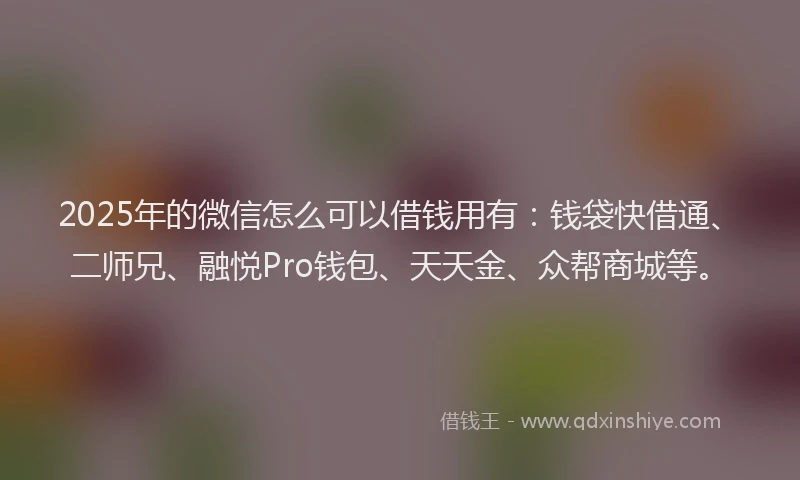 2025年的微信怎么可以借钱用有：钱袋快借通、二师兄、融悦Pro钱包、天天金、众帮商城等。