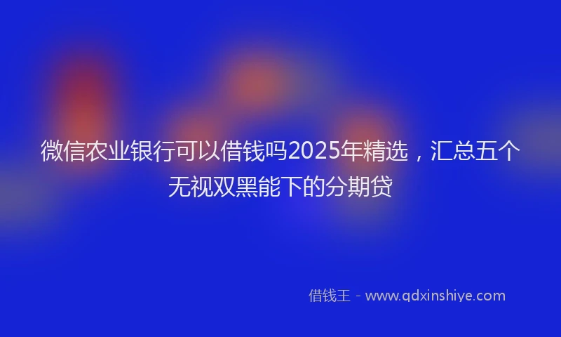 微信农业银行可以借钱吗2025年精选，汇总五个无视双黑能下的分期贷