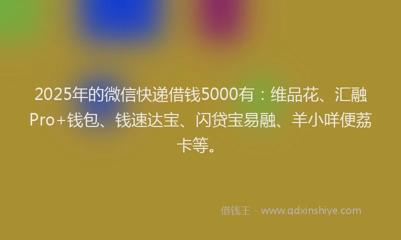 2025年的微信快递借钱5000有：维品花、汇融Pro+钱包、钱速达宝、闪贷宝易融、羊小咩便荔卡等。