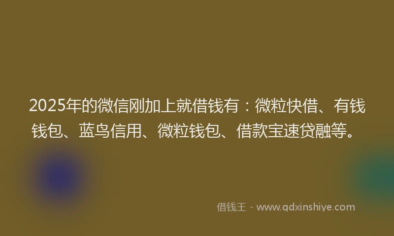 2025年的微信刚加上就借钱有：微粒快借、有钱钱包、蓝鸟信用、微粒钱包、借款宝速贷融等。