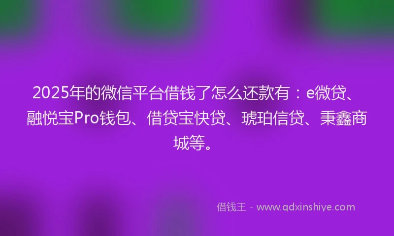 2025年的微信平台借钱了怎么还款有：e微贷、融悦宝Pro钱包、借贷宝快贷、琥珀信贷、秉鑫商城等。