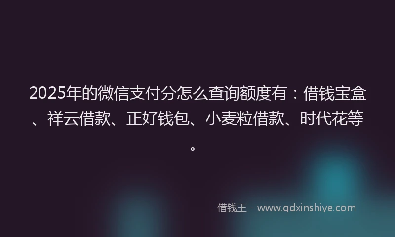 2025年的微信支付分怎么查询额度有：借钱宝盒、祥云借款、正好钱包、小麦粒借款、时代花等。