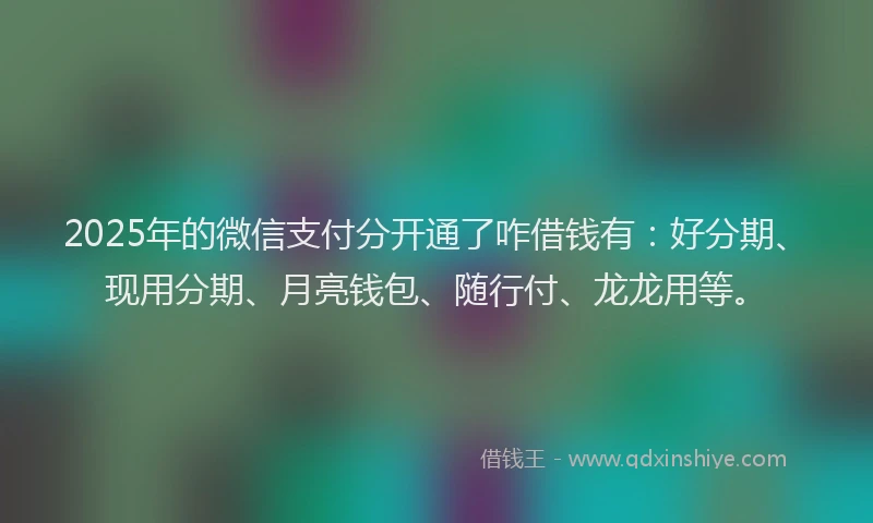 2025年的微信支付分开通了咋借钱有：好分期、现用分期、月亮钱包、随行付、龙龙用等。