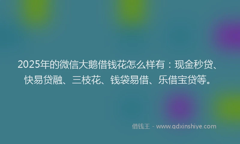 2025年的微信大鹅借钱花怎么样有：现金秒贷、快易贷融、三枝花、钱袋易借、乐借宝贷等。