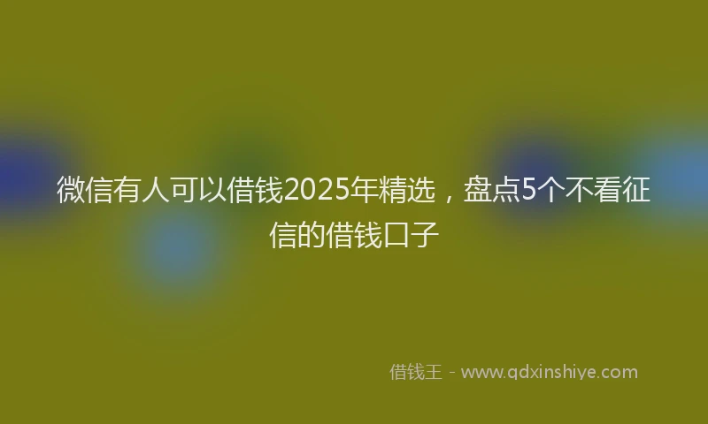 微信有人可以借钱2025年精选，盘点5个不看征信的借钱口子