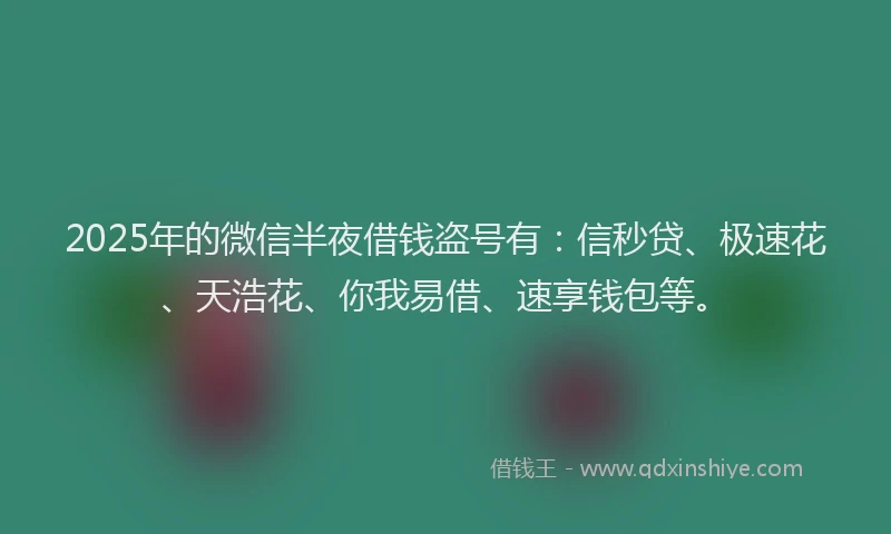 2025年的微信半夜借钱盗号有：信秒贷、极速花、天浩花、你我易借、速享钱包等。