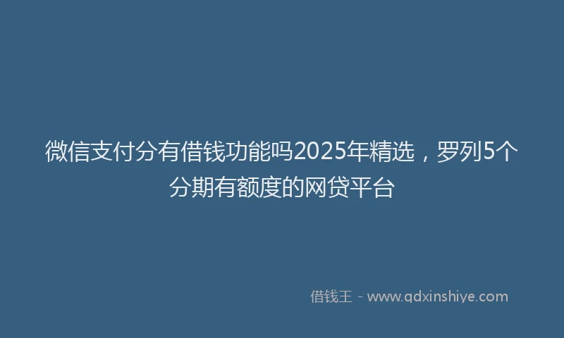 微信支付分有借钱功能吗2025年精选，罗列5个分期有额度的网贷平台