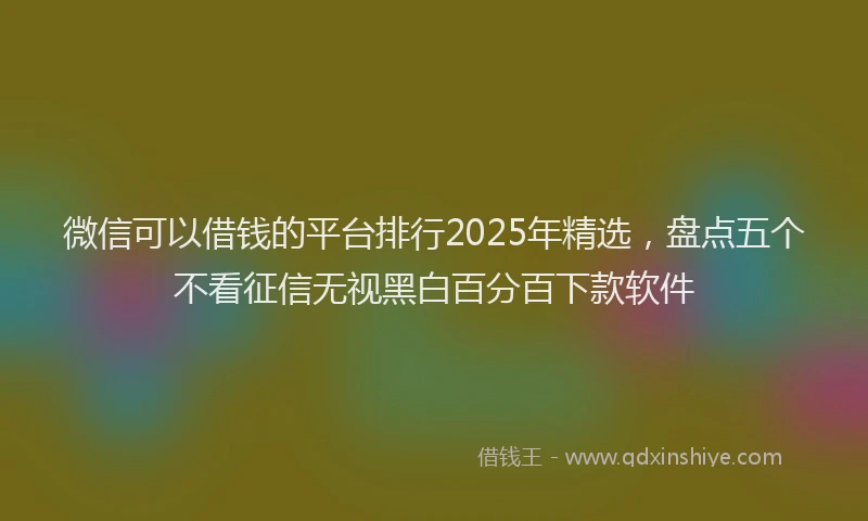 微信可以借钱的平台排行2025年精选，盘点五个不看征信无视黑白百分百下款软件