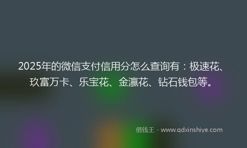 2025年的微信支付信用分怎么查询有：极速花、玖富万卡、乐宝花、金瀛花、钻石钱包等。