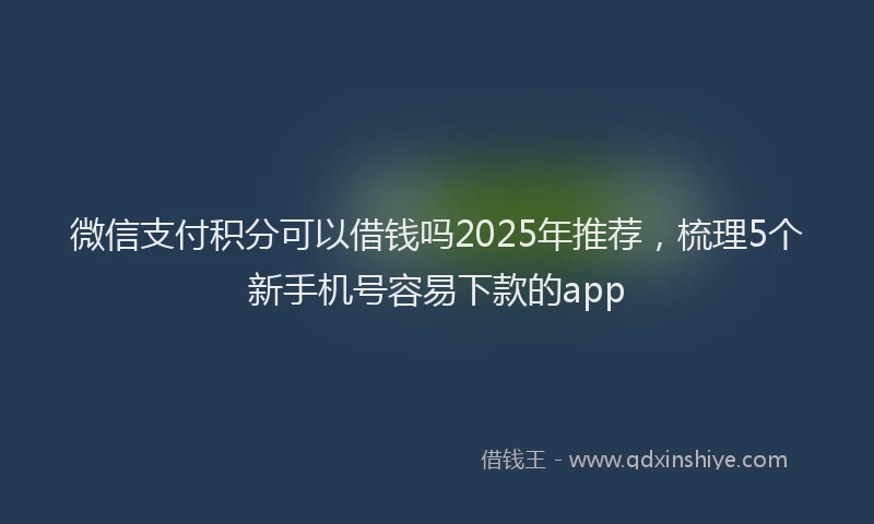 微信支付积分可以借钱吗2025年推荐，梳理5个新手机号容易下款的app