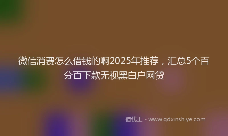 微信消费怎么借钱的啊2025年推荐，汇总5个百分百下款无视黑白户网贷