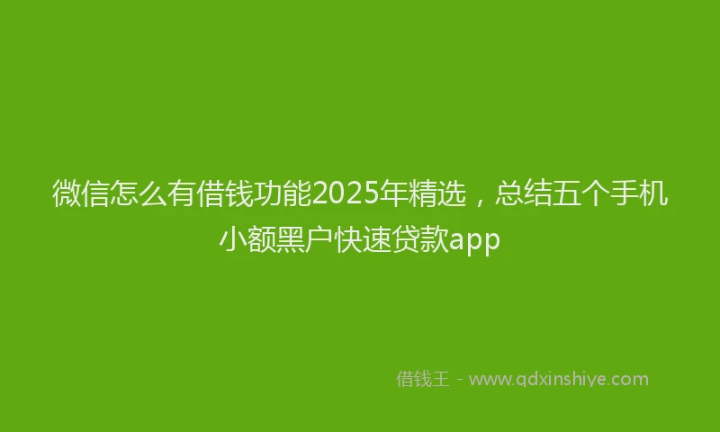 微信怎么有借钱功能2025年精选，总结五个手机小额黑户快速贷款app
