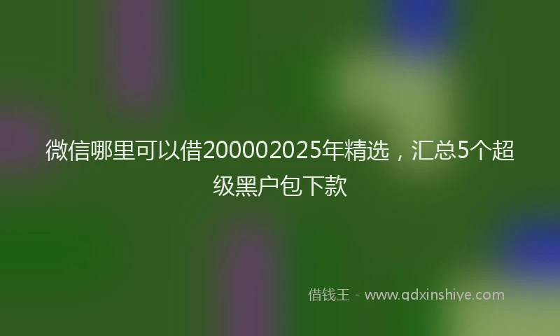 微信哪里可以借200002025年精选，汇总5个超级黑户包下款
